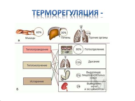 Механизмы газового теплоотдачи