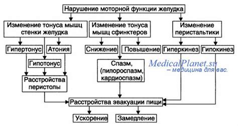 Механизм возникновения тошноты