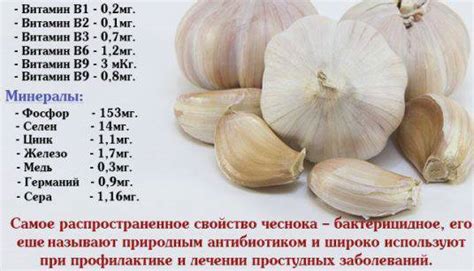 Механизм действия чеснока на давление