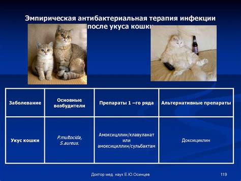 Механизм действия яда при укусе кошки