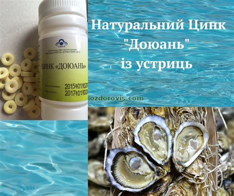Механизм питания устриц
