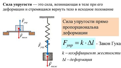 Механика упругой силы