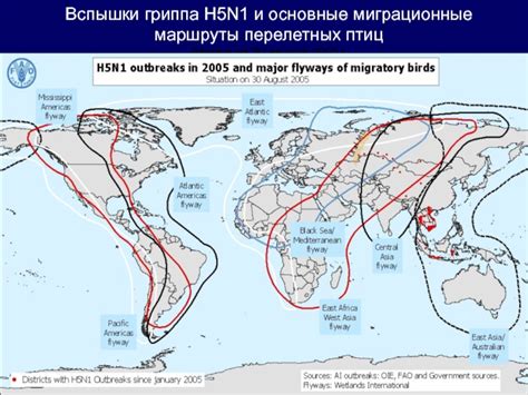 Миграционные маршруты гребенщиков