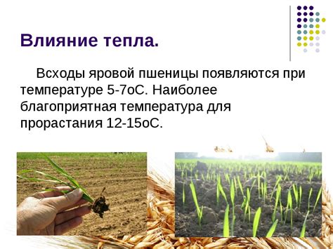 Минимальные требования к почве