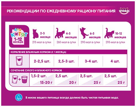 Минусы использования сухого корма для котенка