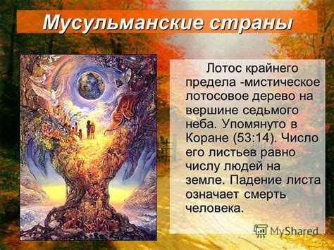 Мистическое падение светила безмятежного дневного неба