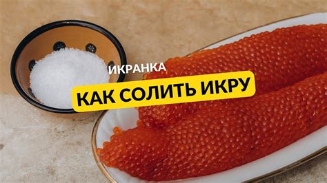 Миф: Солить мороженную икру горбуши дело сложное и требует опыта