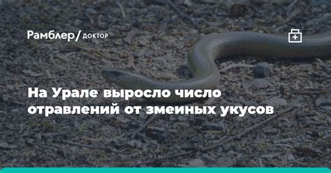 Мифологические трактовки змеиных укусов во сне