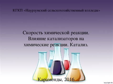 Мифы и правда о влиянии катализаторов на реакции