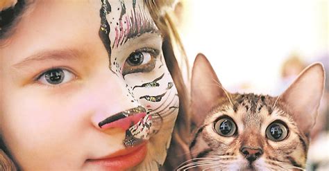 Мифы и правда о дыхании кошек