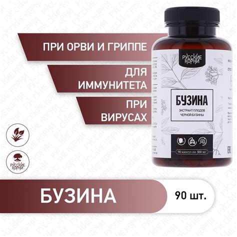 Мифы и правда о пользе плодов бузины черной