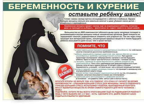 Мифы и реальность: влияние материнского поведения на плод