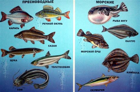 Мифы и реальность: отваривание кишок и рыба сохраняются лучше