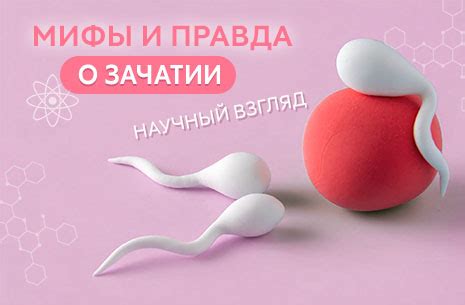 Мифы о зачатии и овуляции