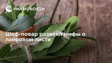 Мифы о лавровом листе