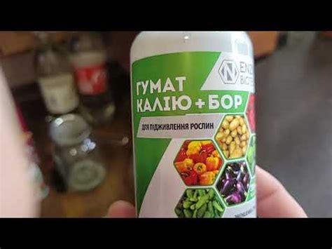 Мифы о поливе цветов минералкой