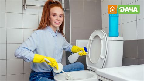 Мифы о чистке унитаза