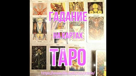Миф или реальность: гадалки на картах