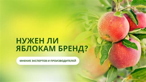 Мнение производителей и экспертов о заправке Газели 95 бензином