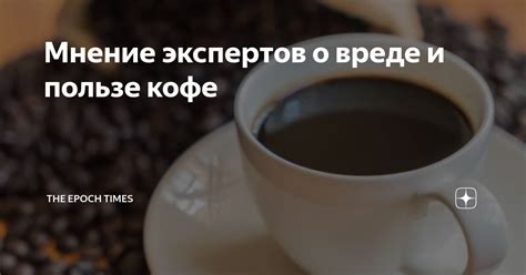 Мнение экспертов и специалистов
