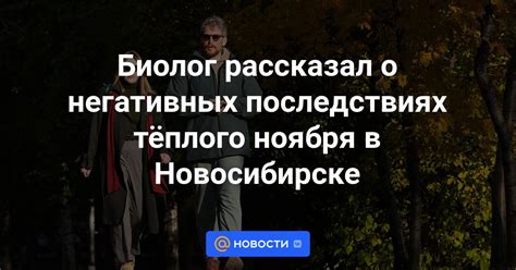 Мнения экспертов о негативных последствиях