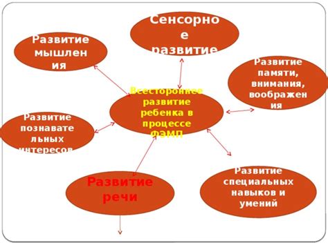Многогранность интересов и навыков