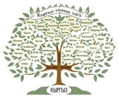 Модернизация формулы
