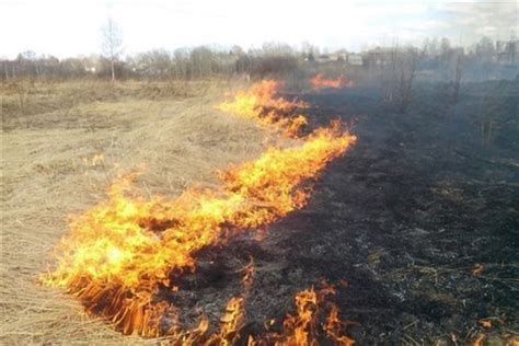 Может ли прикурить автоматом привести к пожарам