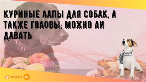 Можно ли котам давать куриные лапы