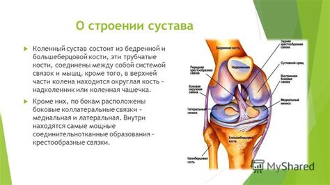 Можно ходить при разрыве крестообразных связок: полезная информация