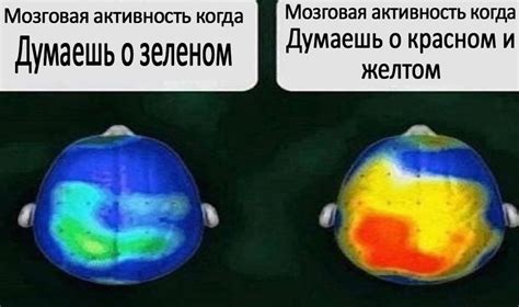 Мозговая активность