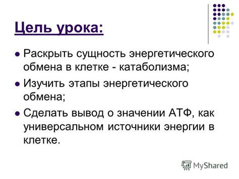 Мозг как потребитель калорий: особенности энергетического обмена
