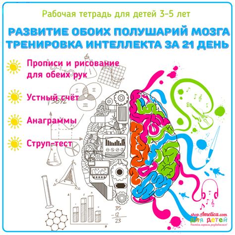 Музыка как инструмент развития интеллекта и памяти