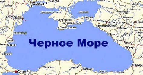 Мурены Черного моря: особенности и распространение