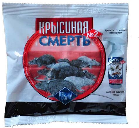 Мышеловки и другие средства: выбираем наиболее эффективные меры борьбы