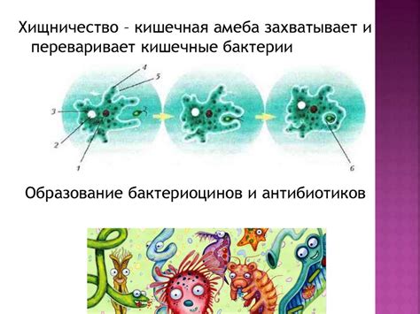 Мышьяк: особенности употребления и возможные взаимодействия с другими веществами