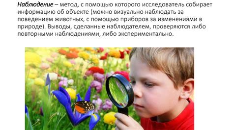Наблюдение за поведением и особенностями характера