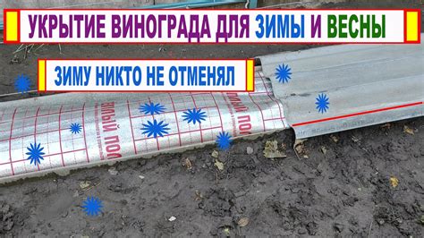 Надежная защита от морозов и заморозков