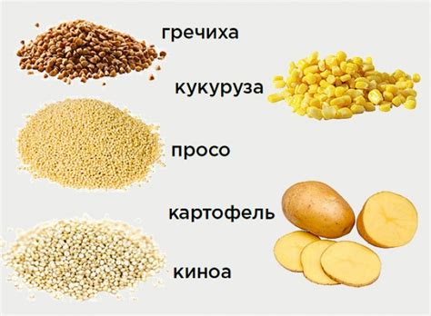 Наличие глютена в кукурузной крупе