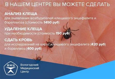 Наличие крови после укуса