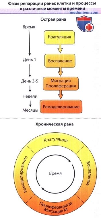 Нарушение процесса заживления