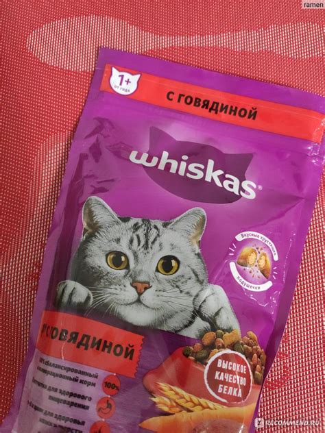 Насколько безопасен корм для кошек от разных производителей