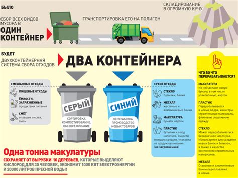 Насколько важно соблюдать правила выбрасывания мусора