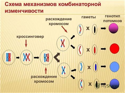 Наследственность и генетический фактор