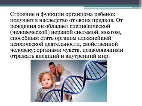 Наследственность как фактор ноговозбуждения
