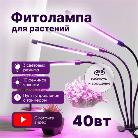 Настольная лампа для растений: важность и выбор