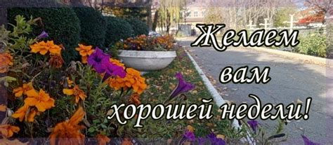 Наступление холодов в середине недели