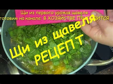 Насыщенность супа полезными веществами