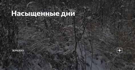 Насыщенные красками дни