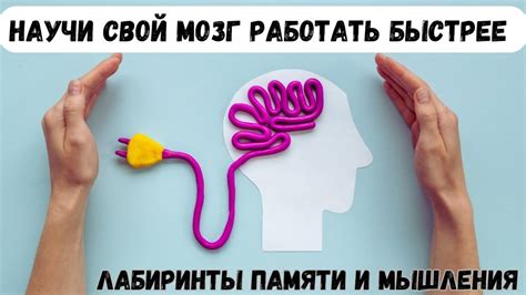 Научите свой мозг работать быстрее